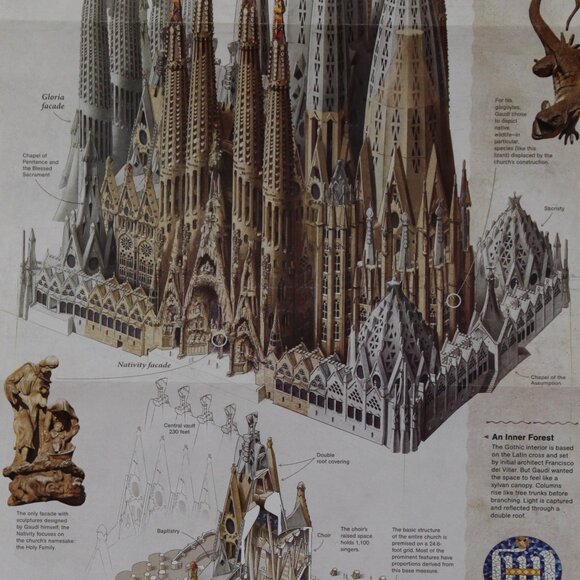 National Geographic "Barcelona's Natural Wonder" / 'Design by Nature' - Picture 2 of 6